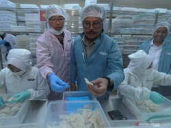 Harga Sarang Burung Walet Merosot Jutaan Imbas Wabah Corona