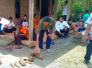Lokasi Penemuan Fosil Hewan Purba di Madiun Akan Diekskavasi
