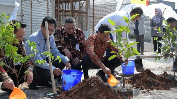 Tanam Pohon Hijaukan Lingkungan