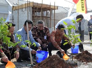 Tanam Pohon Hijaukan Lingkungan