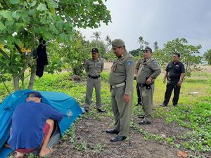 Turis Denmark Camping di Kuta, Tendanya Dibongkar Satpol PP