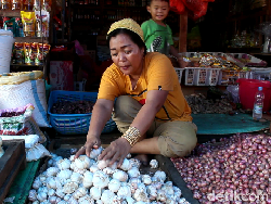 Harga Bawang Putih Naik Jadi Rp 50.000 per Kg Gara-gara Corona