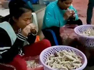 Jijik! Karyawan di Pabrik Ini Kupas Ceker Ayam Pakai Mulut