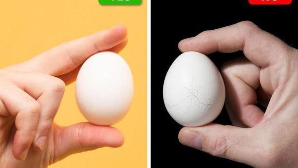 Ikuti 10 Tips Ini untuk Kenali Keju hingga Telur Berkualitas