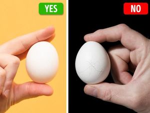 Ikuti 10 Tips Ini untuk Kenali Keju hingga Telur Berkualitas