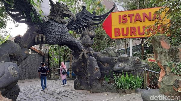 Bermain Sambil Belajar di Taman Wisata Purbasari di Purbalingga