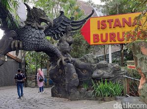 Bermain Sambil Belajar di Taman Wisata Purbasari di Purbalingga