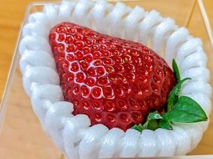 Wow! Stroberi Jepang Ini Harganya Rp 134 Ribu per Buah