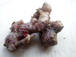 Manfaat Jahe Merah Bantu Hadapi Virus Corona