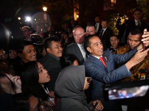 Ratusan WNI Sambut Kedatangan Jokowi di Canberra
