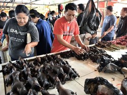 Waspada Virus Corona, Pasar Tomohon Berhenti Jual Kelelawar