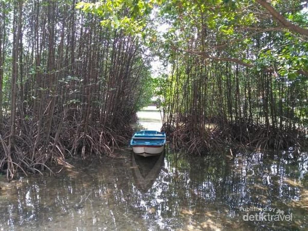 Aneka Potensi Pulau Pramuka Jakarta, Ini Potretnya Aneka Potensi Pulau Pramuka Jakarta, Ini Potretnya