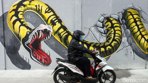 Mural Satwa Percantik Kawasan Penjaringan