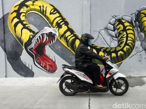 Mural Satwa Percantik Kawasan Penjaringan