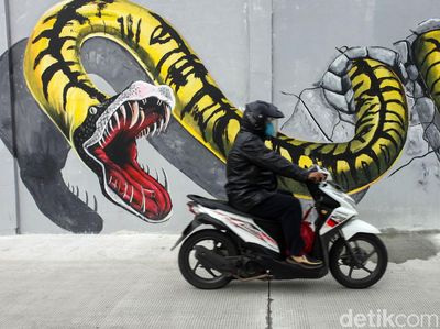 Mural Satwa Percantik Kawasan Penjaringan