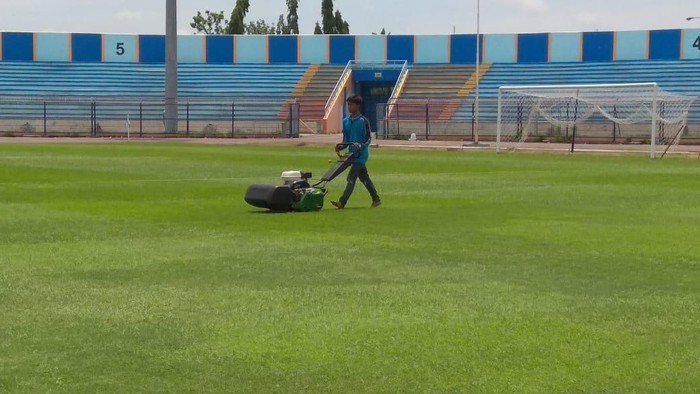 Rumput Stadion Surajaya Lamongan