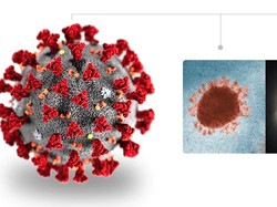 RSMH Palembang Isolasi Satu Pasien Diduga Menderita Virus Corona