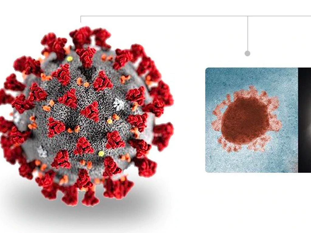 Antisipasi Virus Corona, Barang Kiriman Pos Diwaspadai Antisipasi Virus Corona, Barang Kiriman Pos Diwaspadai