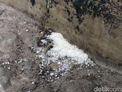 Kata Kepala BKD Yogya soal Garam Bau Kemenyan di Lokasi Tes CPNS