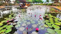 Foto: Kafe Instagramable di Tengah Danau, Lake Cafe
