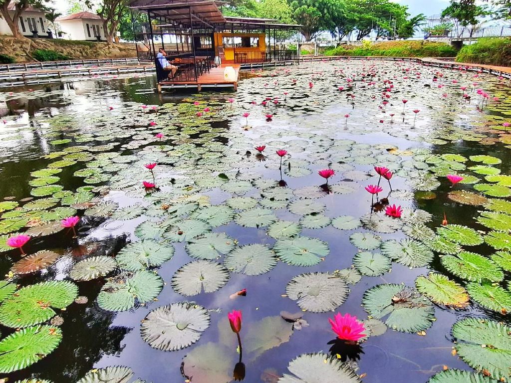 Foto: Kafe Instagramable di Tengah Danau, Lake Cafe