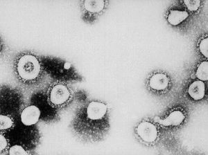 Nyaris 500 Tahanan Terinfeksi Virus Corona, China Pecat Kepala Penjara