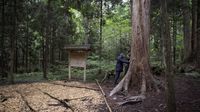Begini, Nih, Kebiasaan Orang Jepang Ngobrol dengan Pohon