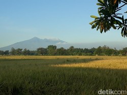 Ditutup Sejak Awal Tahun 2020, Kapan Pendakian Arjuno-Welirang Dibuka?