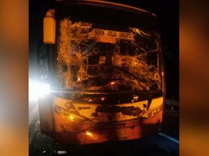 Truk Tabrak Bus di Tol Cipali, 1 Tewas dan 2 Terluka