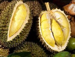 Wah, Durian Bisa Buat Nge-charge HP Wah, Durian Bisa Buat Nge-charge HP