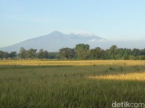 Penutupan Jalur Pendakian Gunung Arjuno Diperpanjang Dampak Corona