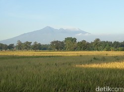 Penutupan Jalur Pendakian Gunung Arjuno Diperpanjang Dampak Corona
