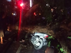 Tragis! Pasutri Tertimpa Pohon Tumbang di Sleman, Bayinya Tewas