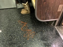 Tak Mau Berdesak-desakan di Kereta, Penumpang Semprotkan Saus