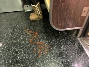 Tak Mau Berdesak-desakan di Kereta, Penumpang Semprotkan Saus Tak Mau Berdesak-desakan di Kereta, Penumpang Semprotkan Saus