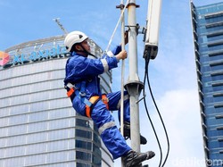 Biar Maknyos, XL Perkuat Jaringan di Calon Ibu Kota Negara