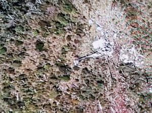 TNI Gandeng Tokoh Masyarakat Cari 11 Senjata di Heli MI-17 yang Hilang