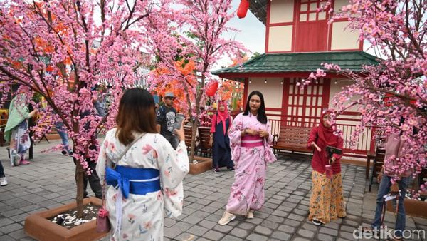 Asyik! Bisa Berpose ala Gadis Jepang Berkimono di Jember