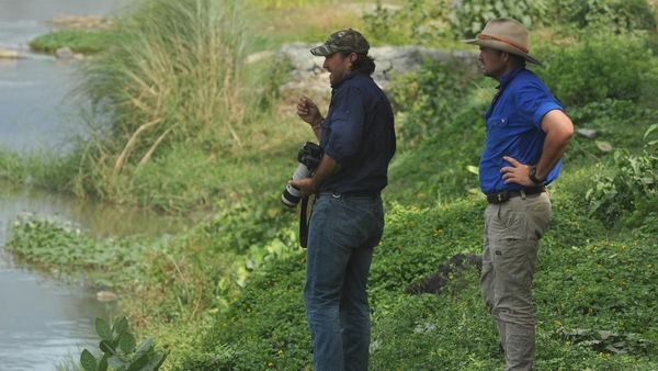 Dua Warga Australia Ikut Bantu Cari Buaya Berkalung Ban di Palu
