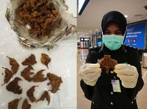 Di Tengah Wabah Virus Corona, Pria Ini Selundupkan Dendeng Tikus ke Pesawat Di Tengah Wabah Virus Corona, Pria Ini Selundupkan Dendeng Tikus ke Pesawat