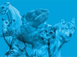 Tes Psikologi: Hewan Apa yang Kamu Lihat dengan Jelas Pertama Kali?