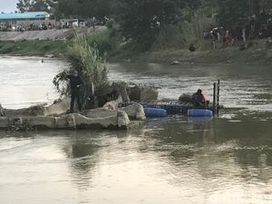 BKSDA Sulteng Akan Evakuasi Buaya Berkalung Ban Usai Pandemi, Kenapa?