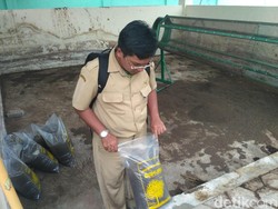 Menyulap Limbah Rumah Potong Hewan yang Meresahkan Jadi Menguntungkan