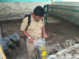 Menyulap Limbah Rumah Potong Hewan yang Meresahkan Jadi Menguntungkan Menyulap Limbah Rumah Potong Hewan yang Meresahkan Jadi Menguntungkan