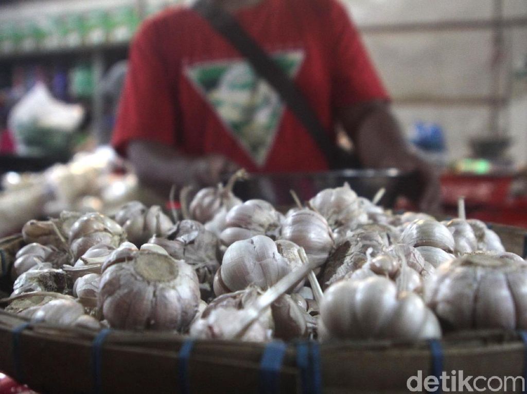 Kisah Petani Bawang Putih Sembalun Mampu Bertahan di Tengah Corona Kisah Petani Bawang Putih Sembalun Mampu Bertahan di Tengah Corona