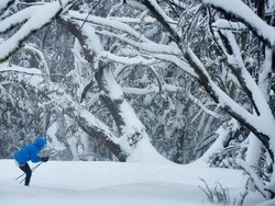 Indonesia Belum Termasuk dalam 35 Negara yang Dapat Visa Gratis ke Australia