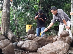 Arkeolog Sebut Patung Monyet-Ganesa di Batu Mahpar Bukan Artefak