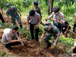 10 Ribu Vetiver Ditanam di Lahan Rawan Longsor Pemalang
