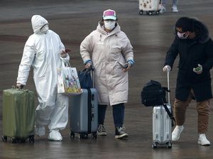 Bukan gegara Lab Bocor, Ilmuwan Sebut Asal-usul Corona dari Rakun di Pasar Wuhan Bukan gegara Lab Bocor, Ilmuwan Sebut Asal-usul Corona dari Rakun di Pasar Wuhan