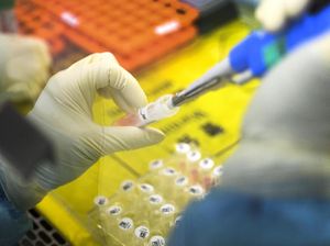 Deretan Obat yang Pernah Diklaim Bisa Sembuhkan Virus Corona COVID-19 Deretan Obat yang Pernah Diklaim Bisa Sembuhkan Virus Corona COVID-19